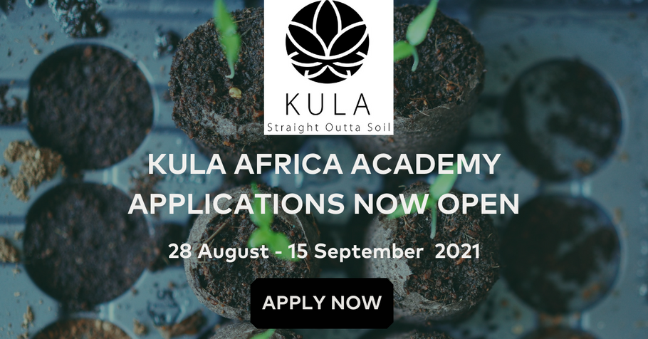 Learn how to run a food garden project with Kula Africa Academy