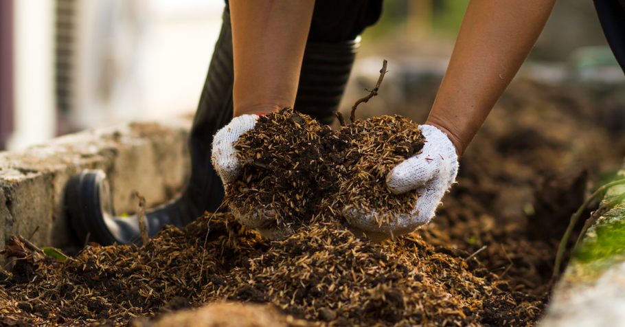 12 Things you should not compost